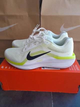 Zapatilla Nike Air Winflo 11