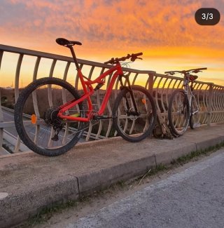 Bicicleta de Montaña