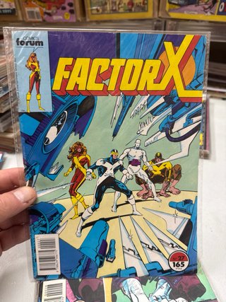 Factor X Forum - Lote 10 Números