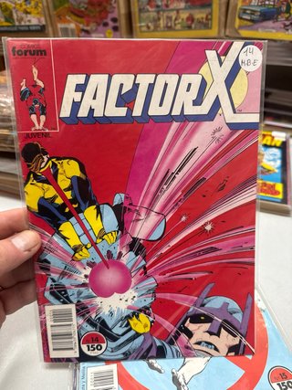Factor X Forum - Lote 10 Números