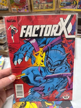 Factor X Forum - Lote 10 Números