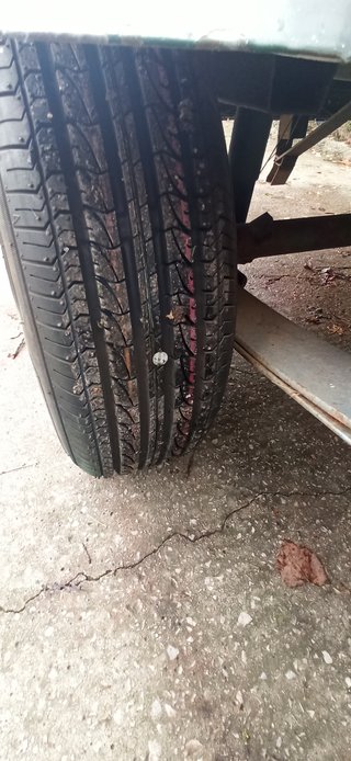 REMOLQUE PARA PERROS