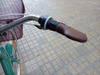 Bicicleta de paseo