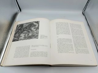 LA CAZA EN EL ARTE (LIBRO)
