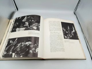 LA CAZA EN EL ARTE (LIBRO)