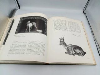 LA CAZA EN EL ARTE (LIBRO)