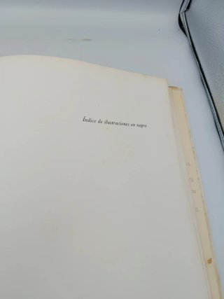 LA CAZA EN EL ARTE (LIBRO)