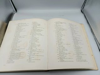 LA CAZA EN EL ARTE (LIBRO)