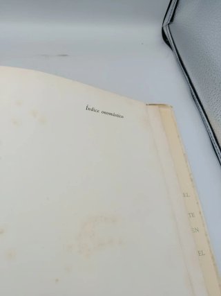LA CAZA EN EL ARTE (LIBRO)