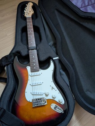 Guitarra Eléctrica Lote Completo