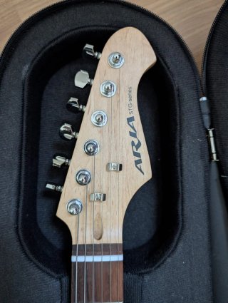 Guitarra Eléctrica Lote Completo