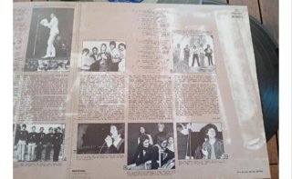 Disco Doble Vinilo Los Bravos Bajado de precio