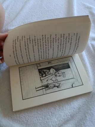 Històries de por libro