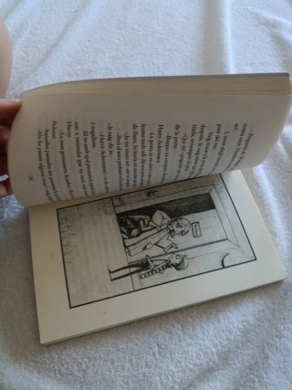 Històries de por libro