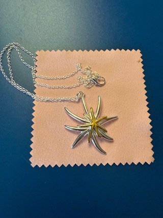 Colgante Estrella Plata y Oro