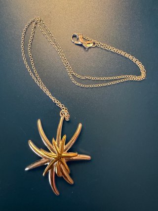 Colgante Estrella Plata y Oro