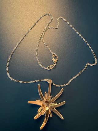 Colgante Estrella Plata y Oro