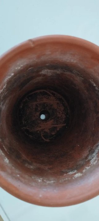 Maceta de cerámica