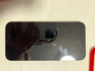 iPhone 13 Pro Max Gris Espacial