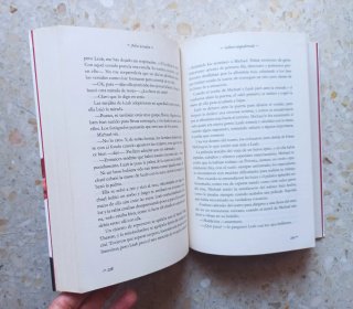 Libro Soltero empedernido