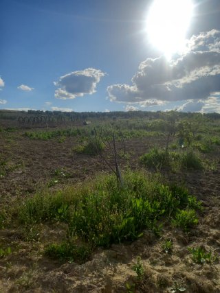 Parcela 1000m² con agua de riego