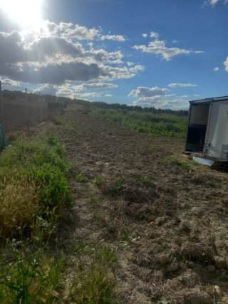 Parcela 1000m² con agua de riego