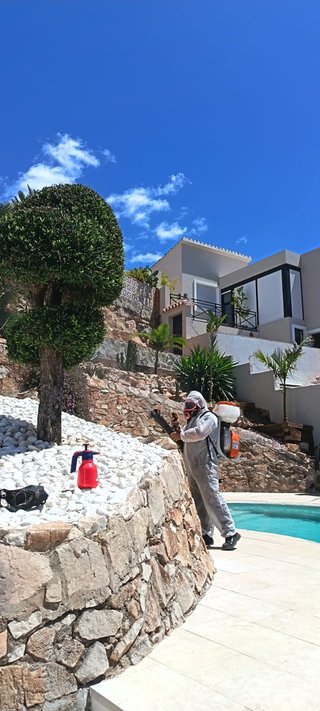 Busco jardinero, alta seguridad social ,