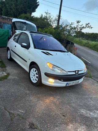 Peugeot 206 2003 LEER BIEN