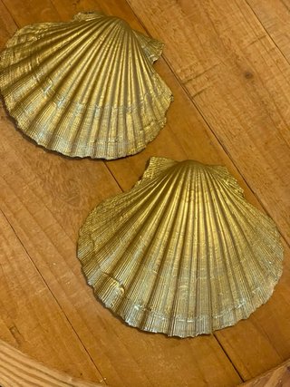 Set 2 conchiglie splendide decorative porta anelli