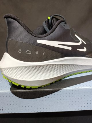 Nike Air Zoom Pegasus Shield Negro Verde