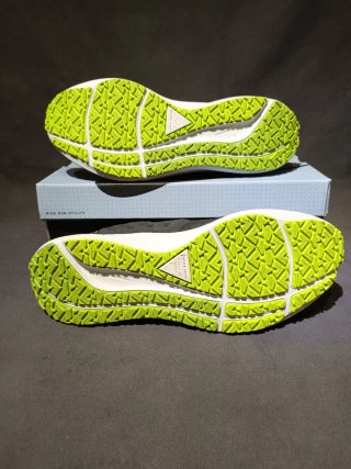 Nike Air Zoom Pegasus Shield Negro Verde