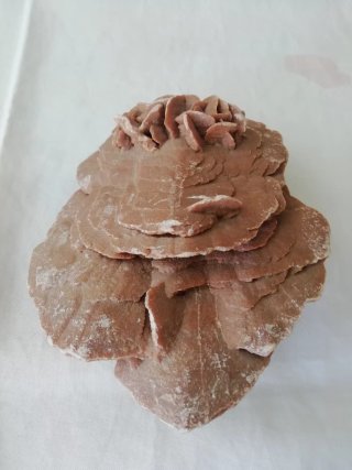 Rosa del desierto mineral