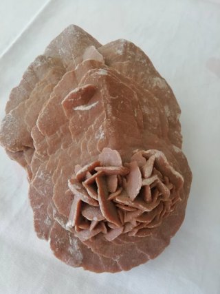Rosa del desierto mineral
