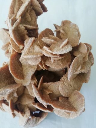 Rosa del desierto mineral natural
