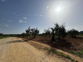 Terreno en venta en Pilas