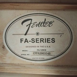 Fender FA125-CE