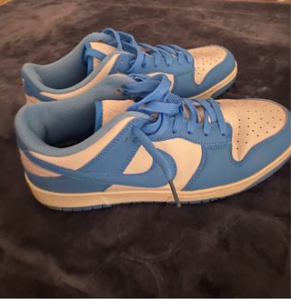 Nike Dunk Low Azul y Blanco