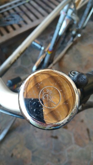 Bicicleta Gazelle Clásica 29