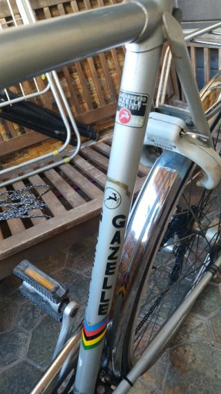 Bicicleta Gazelle Clásica 29