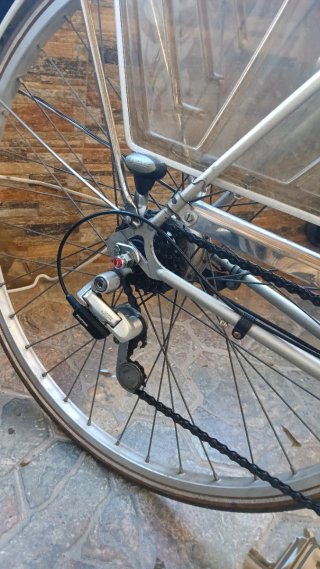 Bicicleta Gazelle Clásica 29