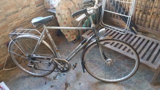 Bicicleta Gazelle Clásica 29
