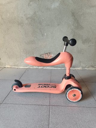 Patinete evolutivo Scoot and Ride