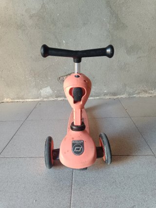 Patinete evolutivo Scoot and Ride