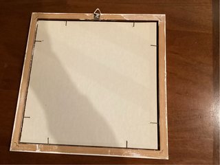 Disegno uccello Strolaga maggiore