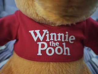 Gioco Winnie the Pooh con luci e suoni