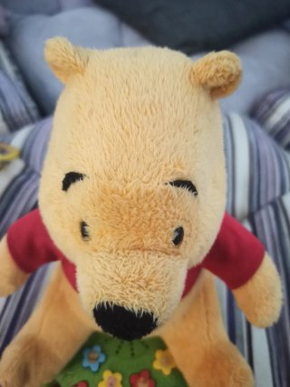 Gioco Winnie the Pooh con luci e suoni