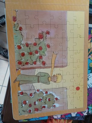 El Principito libro con puzzles