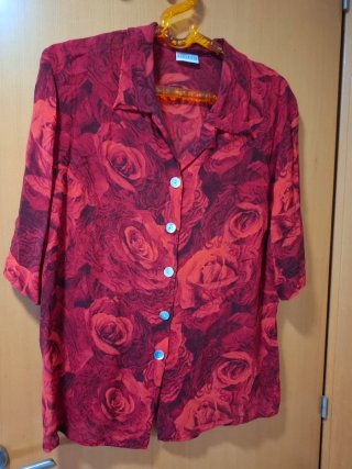 Blusa