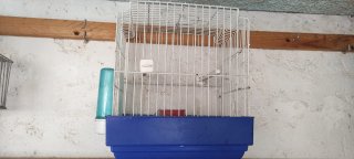 Jaula para pájaros blanca y azul