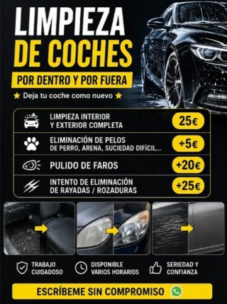 Limpieza de coche